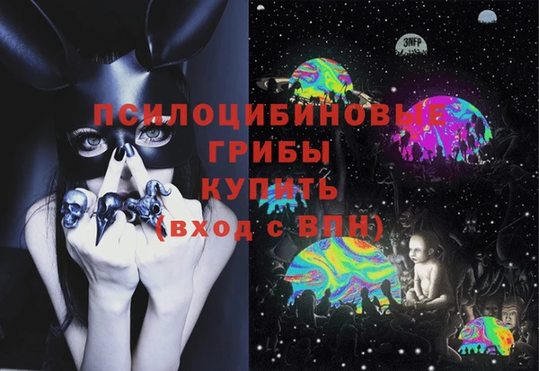 молекула духа Заволжск