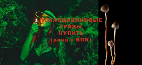 молекула духа Заволжск