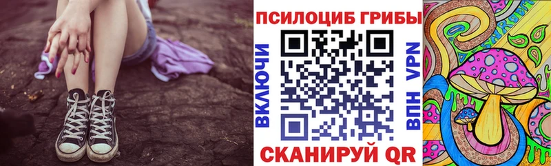 Купить закладки Тимашёвск Псилоцибиновые грибы ЛСД